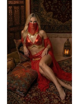 Kadı Kaliteli Peçeli Seksi Dansöz Kostümü Erotik Çekici Çengi Fantezi Oryantal Asena Kıyafeti
